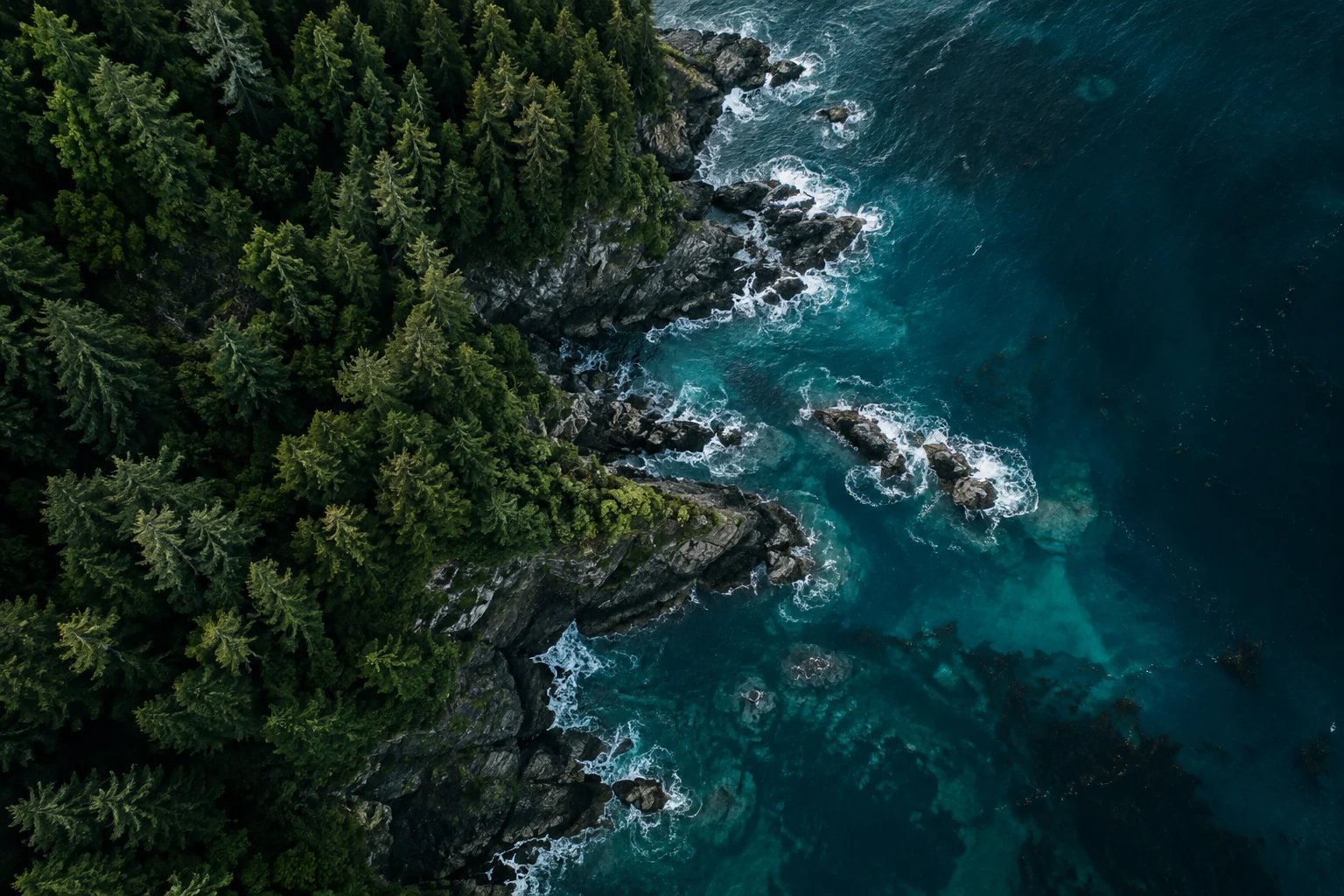 An emerald forest meets the deep blue ocean along a rocky coastline